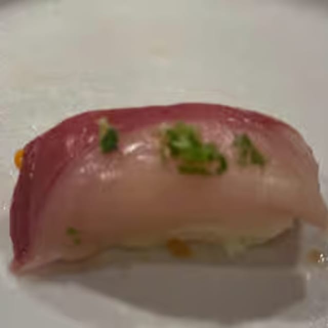 Yellowtail SU / SA.